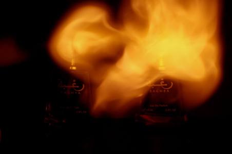 13048095_10206350294862560_788962516704785719_o