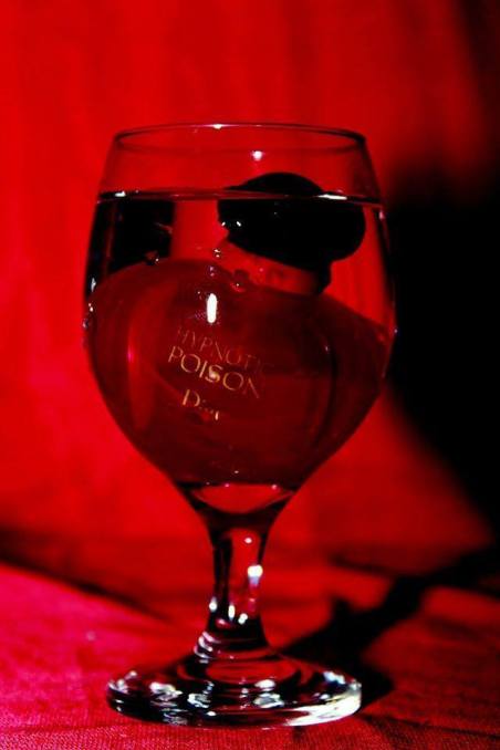 13096339_10206350298902661_5620018009925134075_n