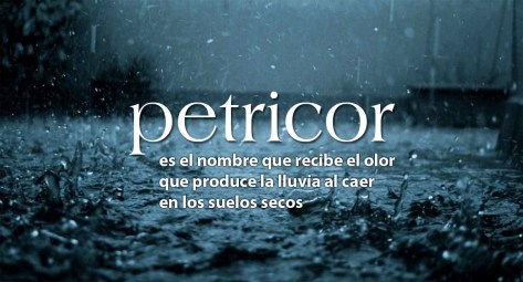 petricor